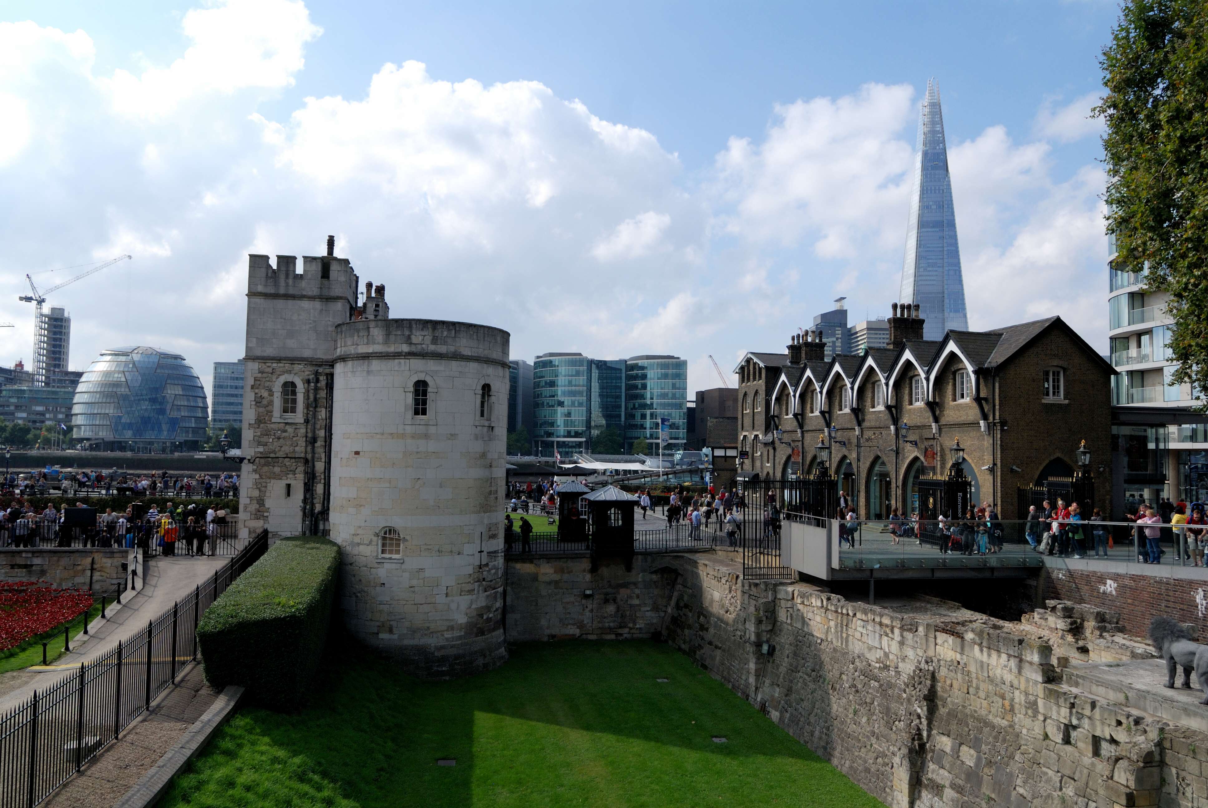 DSC_0159