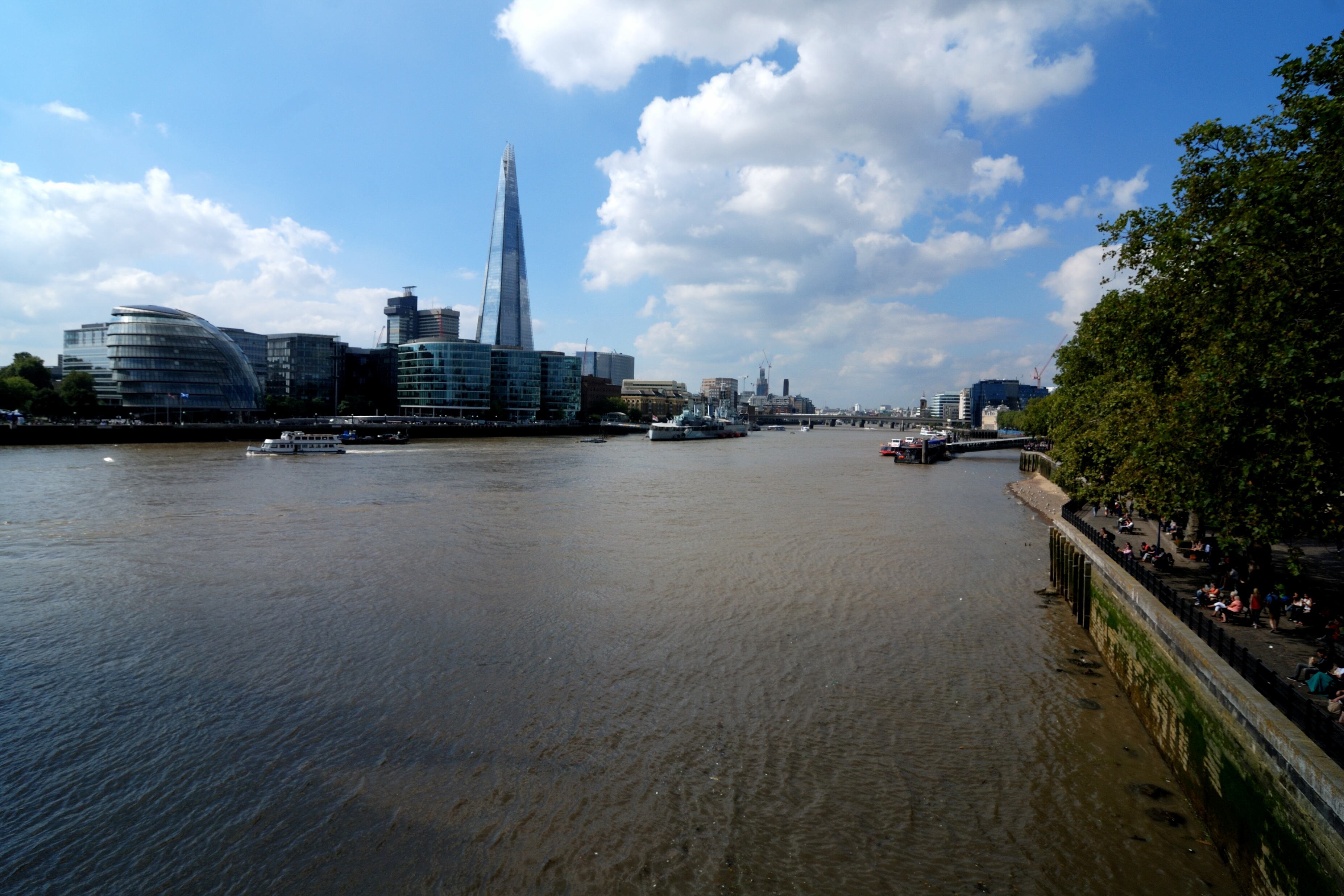 DSC_0210
