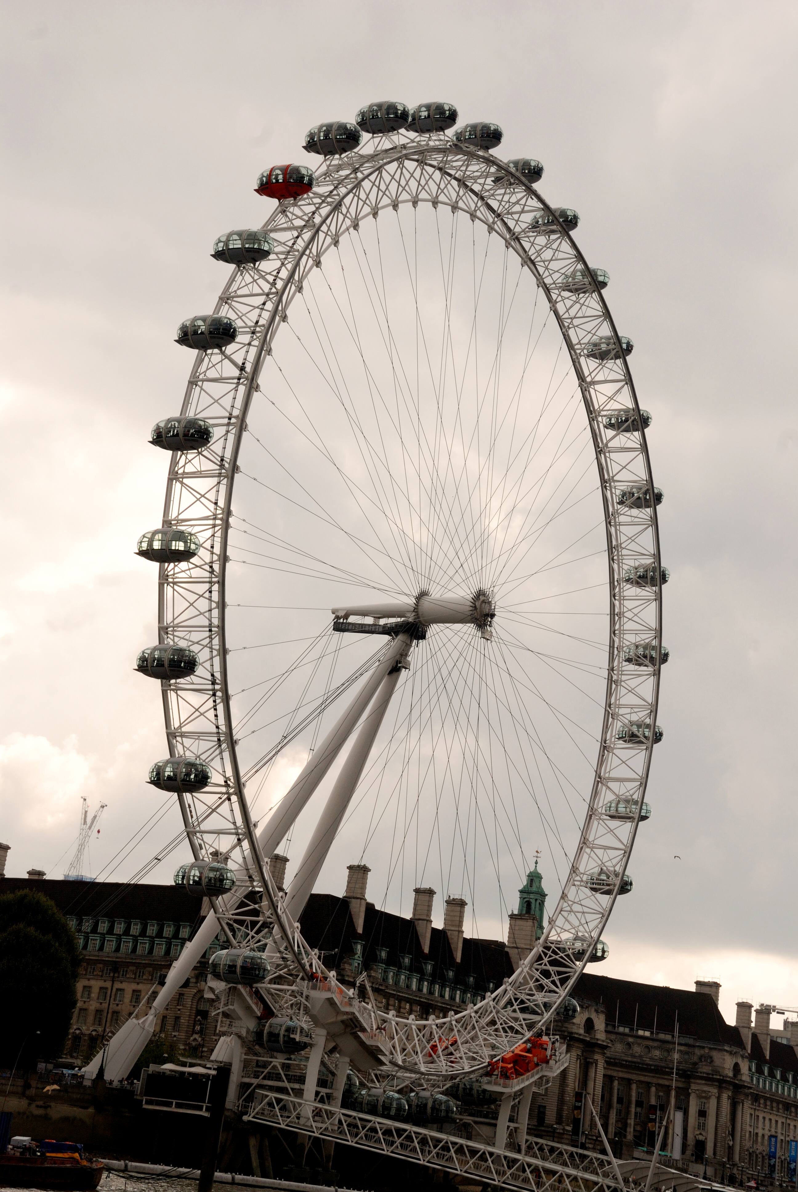 DSC_0530